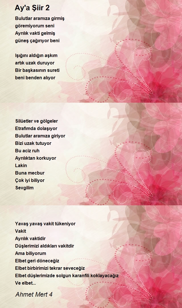 Ahmet Mert 4
