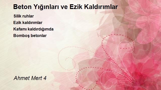 Ahmet Mert 4