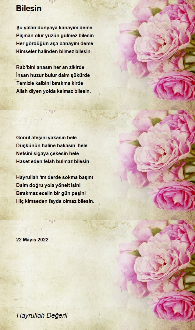 Hayrullah Değerli