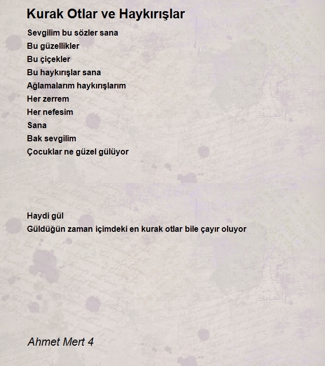 Ahmet Mert 4
