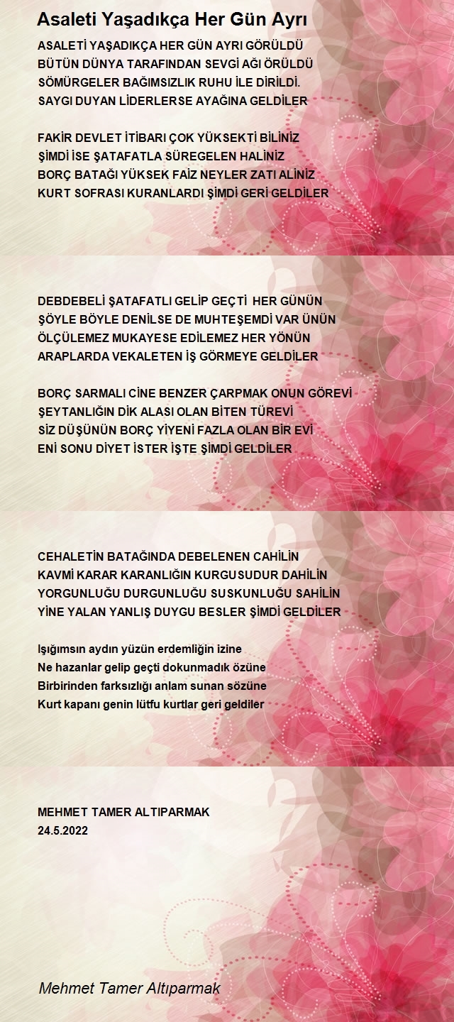 Mehmet Tamer Altıparmak