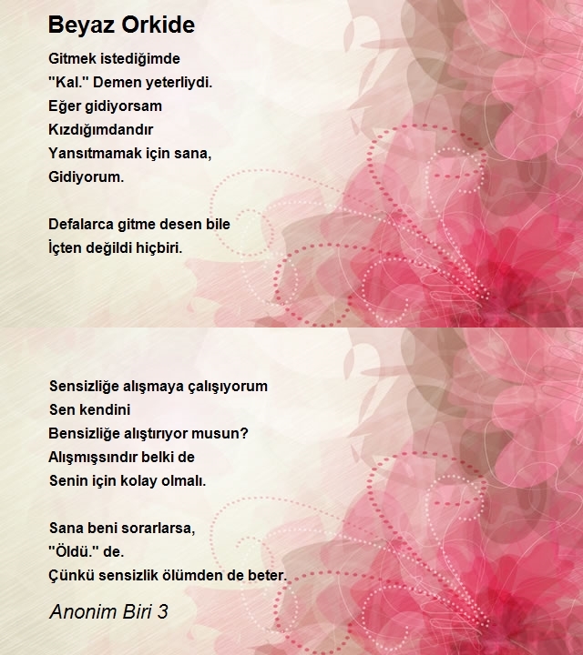 Anonim Biri 3