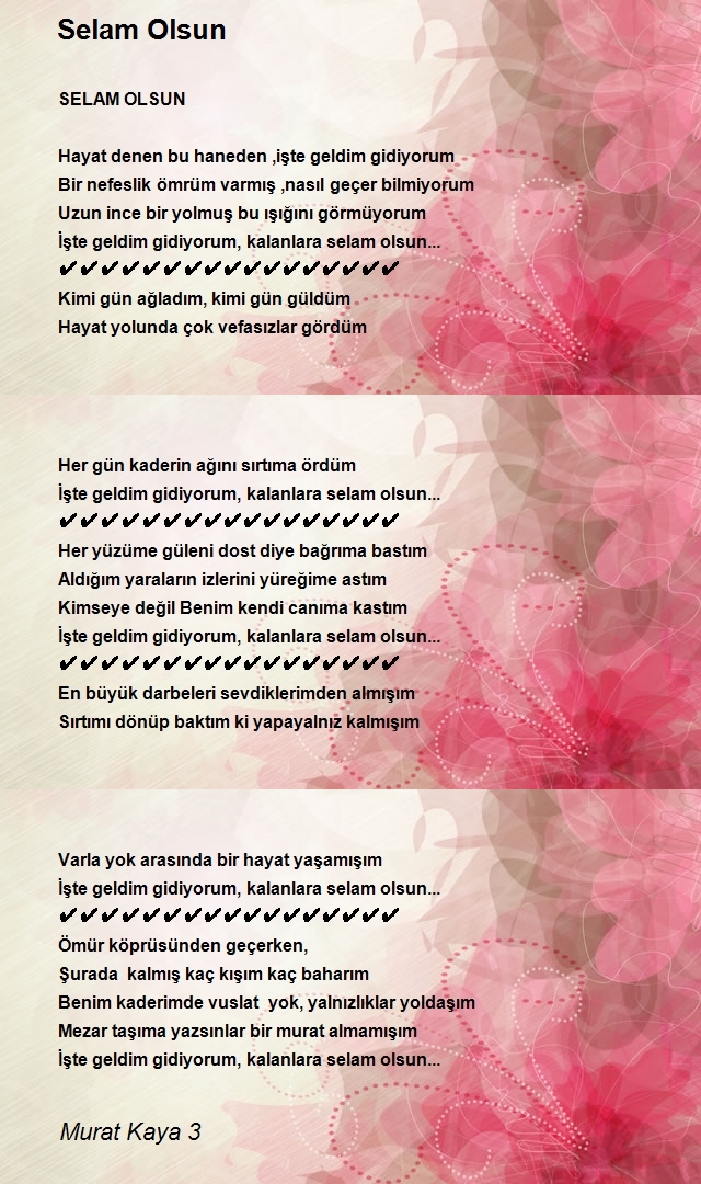 Murat Kaya 3