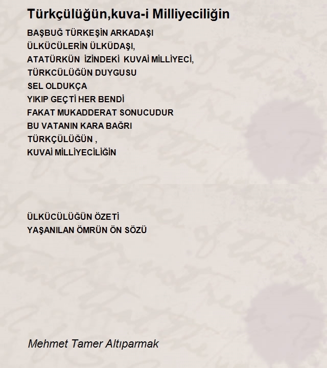 Mehmet Tamer Altıparmak