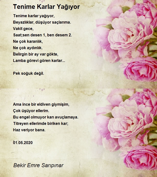 Bekir Emre Sarıpınar