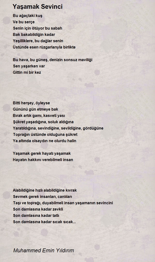 Muhammed Emin Yıldırım