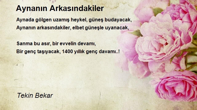 Tekin Bekar
