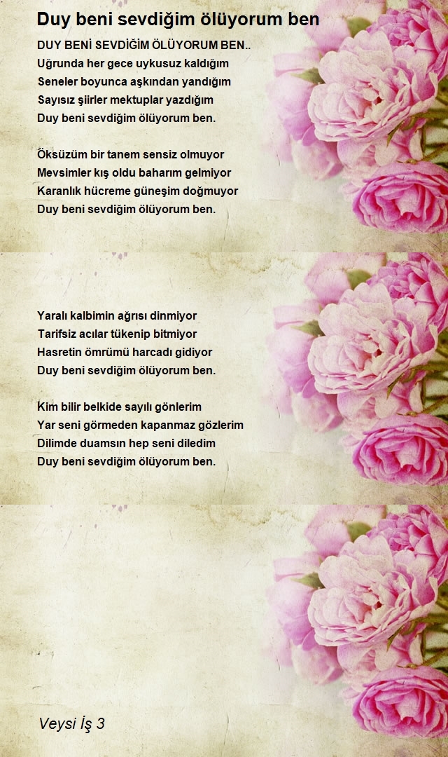 Veysi İş 3