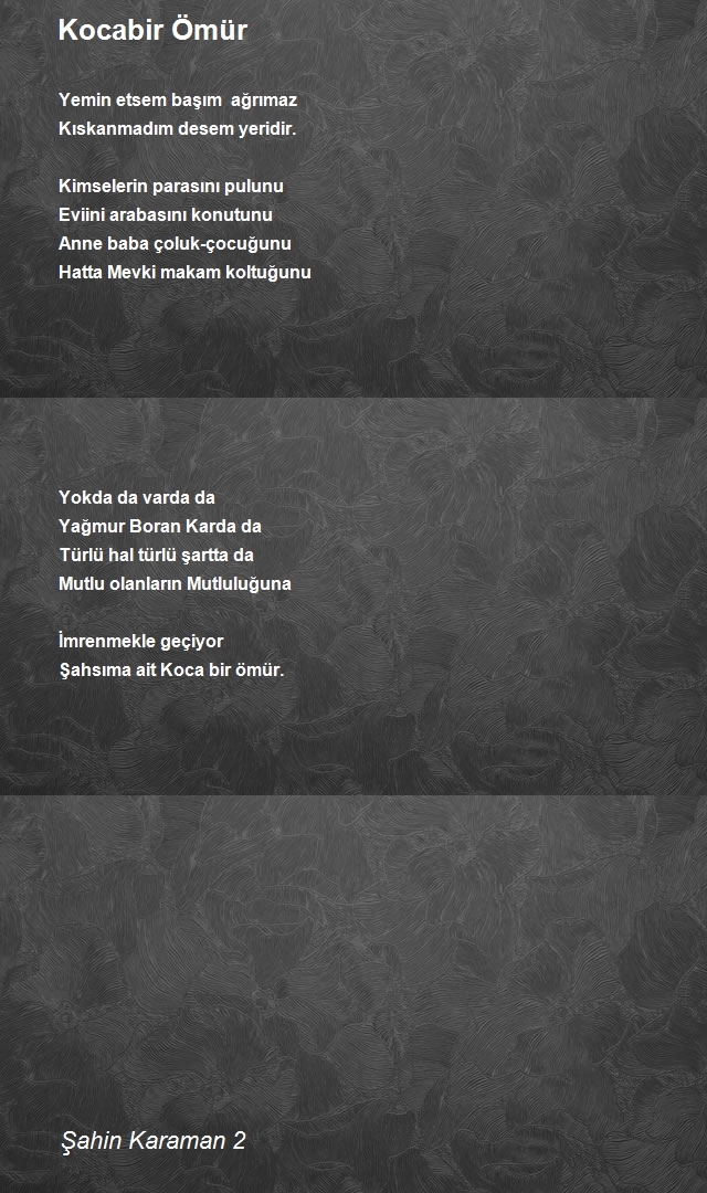 Şahin Karaman 2