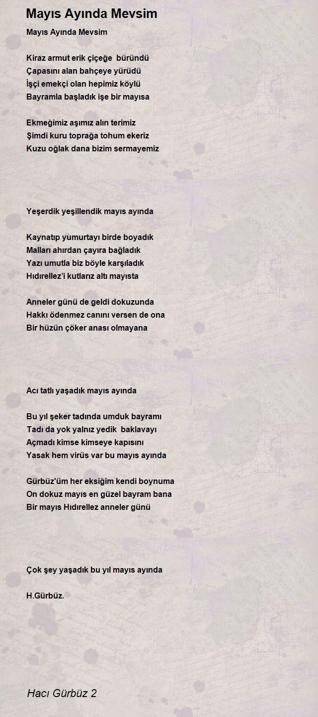 Hacı Gürbüz 2