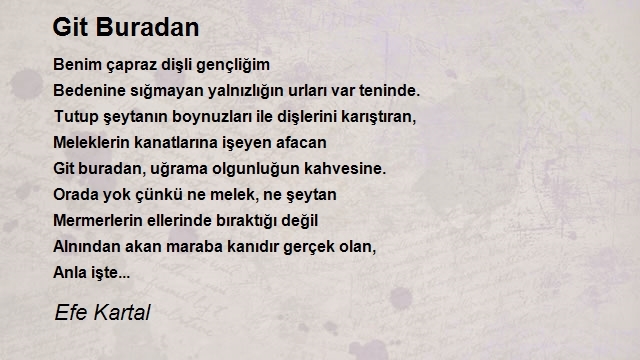 Efe Kartal