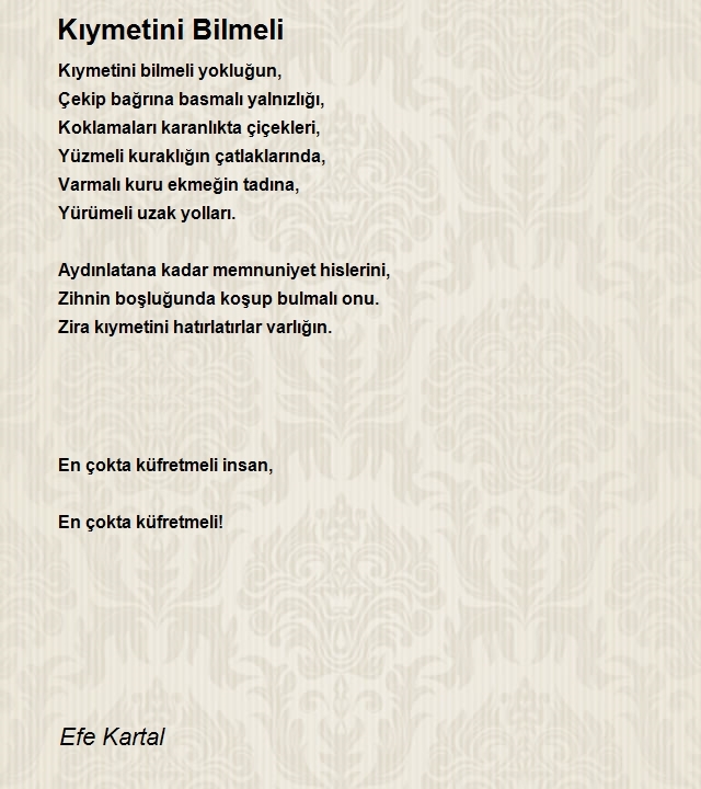 Efe Kartal