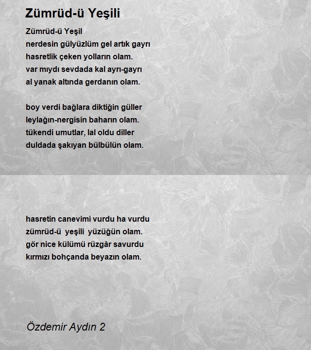 Özdemir Aydın 2