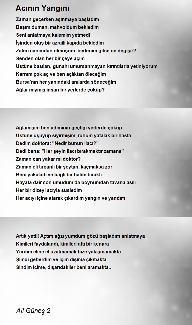 Ali Güneş 2