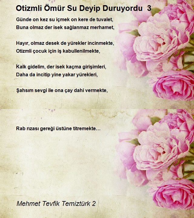 Mehmet Tevfik Temiztürk 2