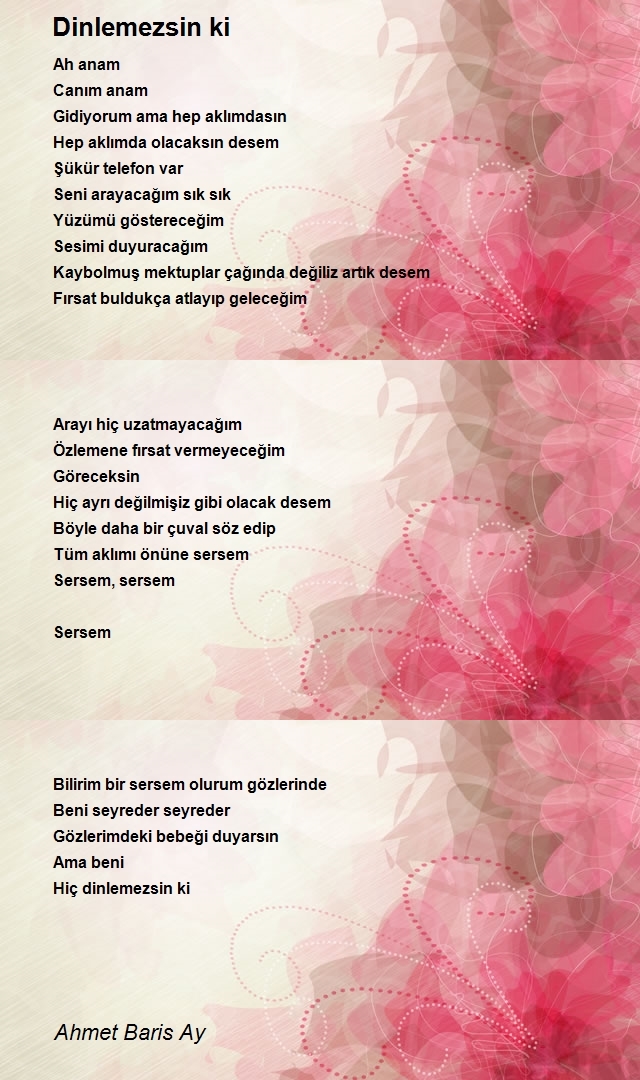 Ahmet Baris Ay