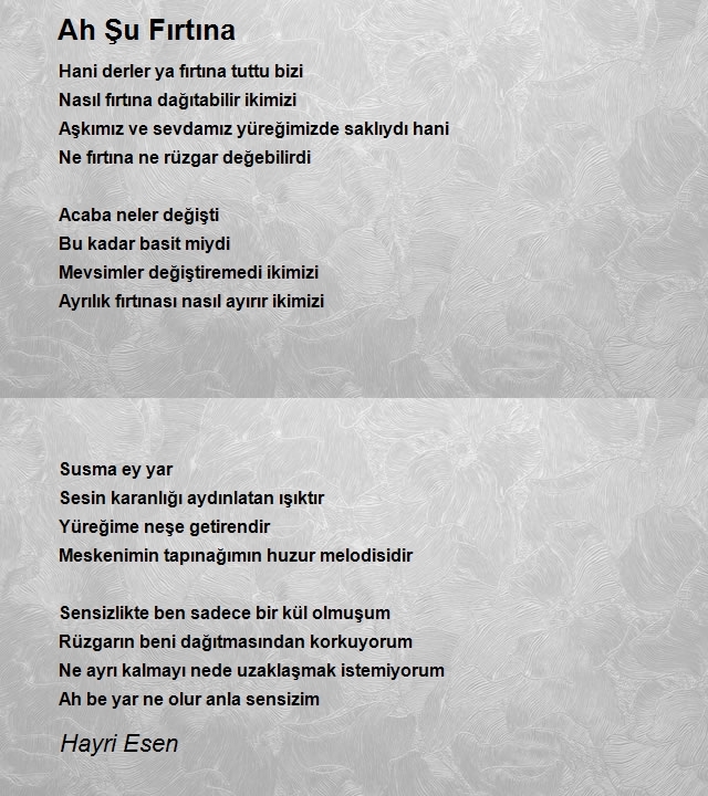 Hayri Esen