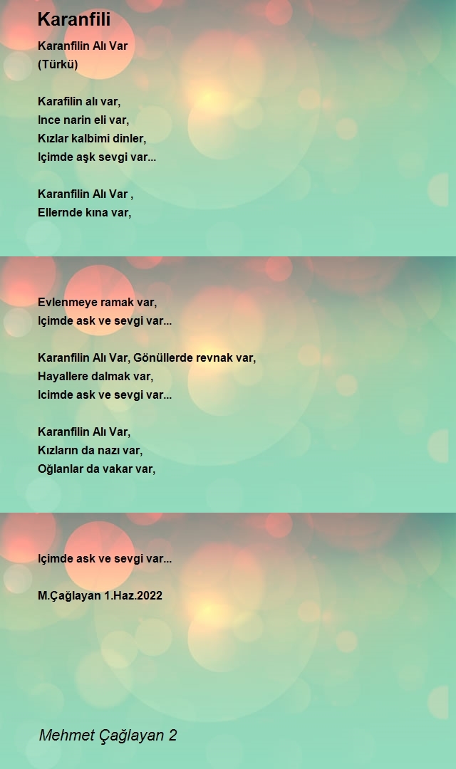 Mehmet Çağlayan 2