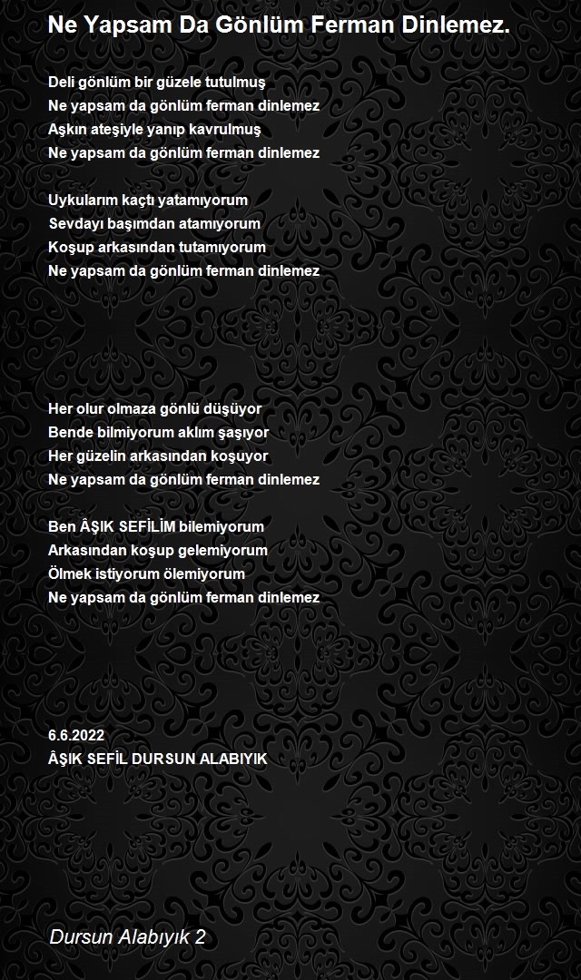 Dursun Alabıyık 2