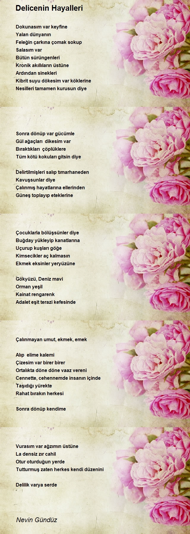 Nevin Gündüz