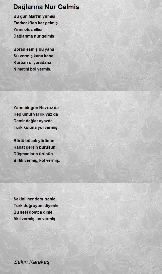 Sakin Karakaş