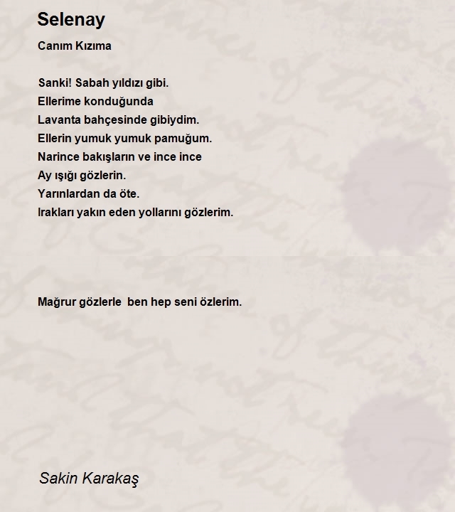Sakin Karakaş