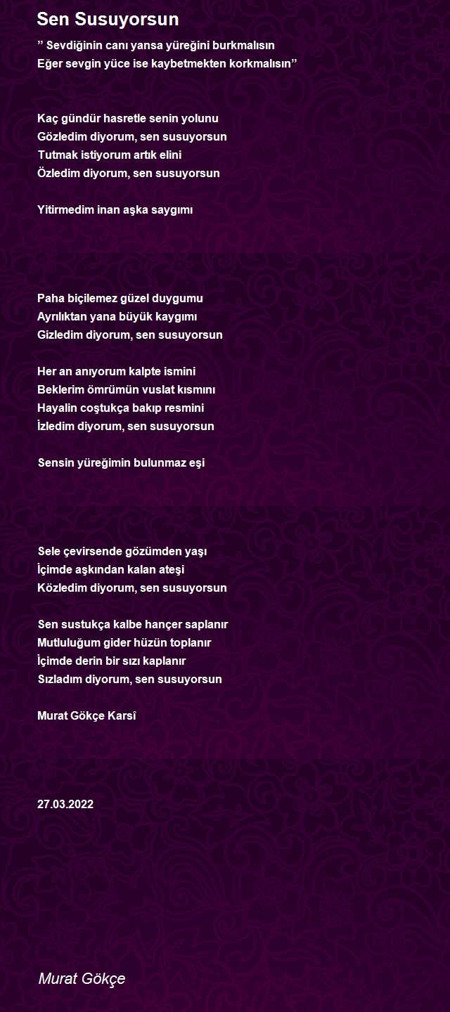 Murat Gökçe