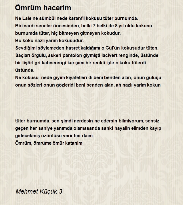 Mehmet Küçük 3