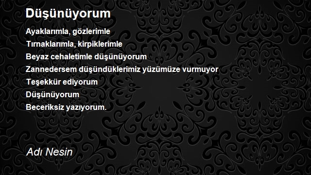 Adsız Nesin
