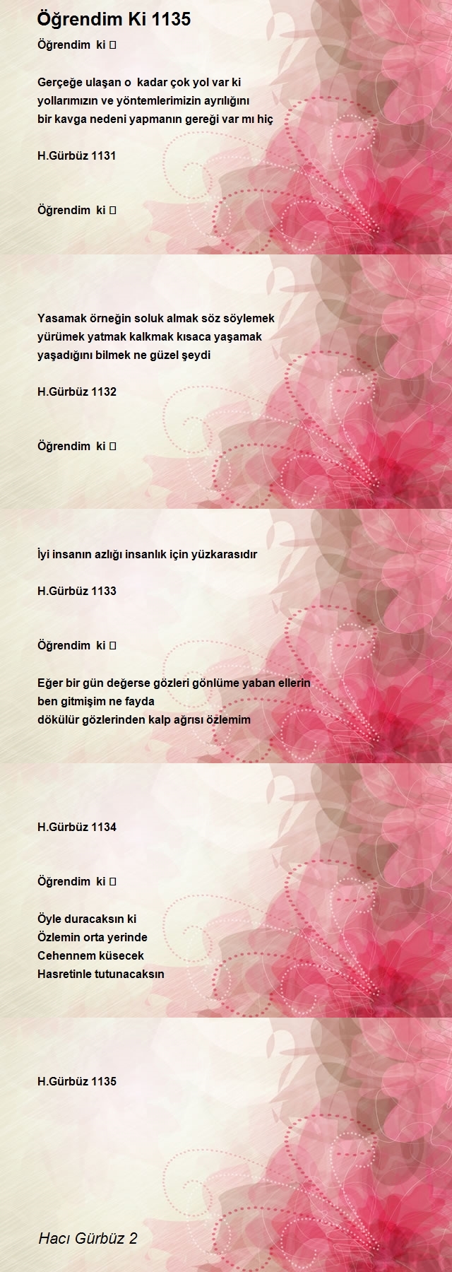 Hacı Gürbüz 2
