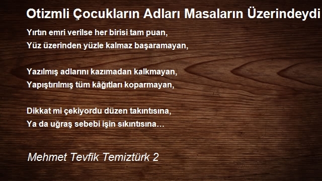 Mehmet Tevfik Temiztürk 2