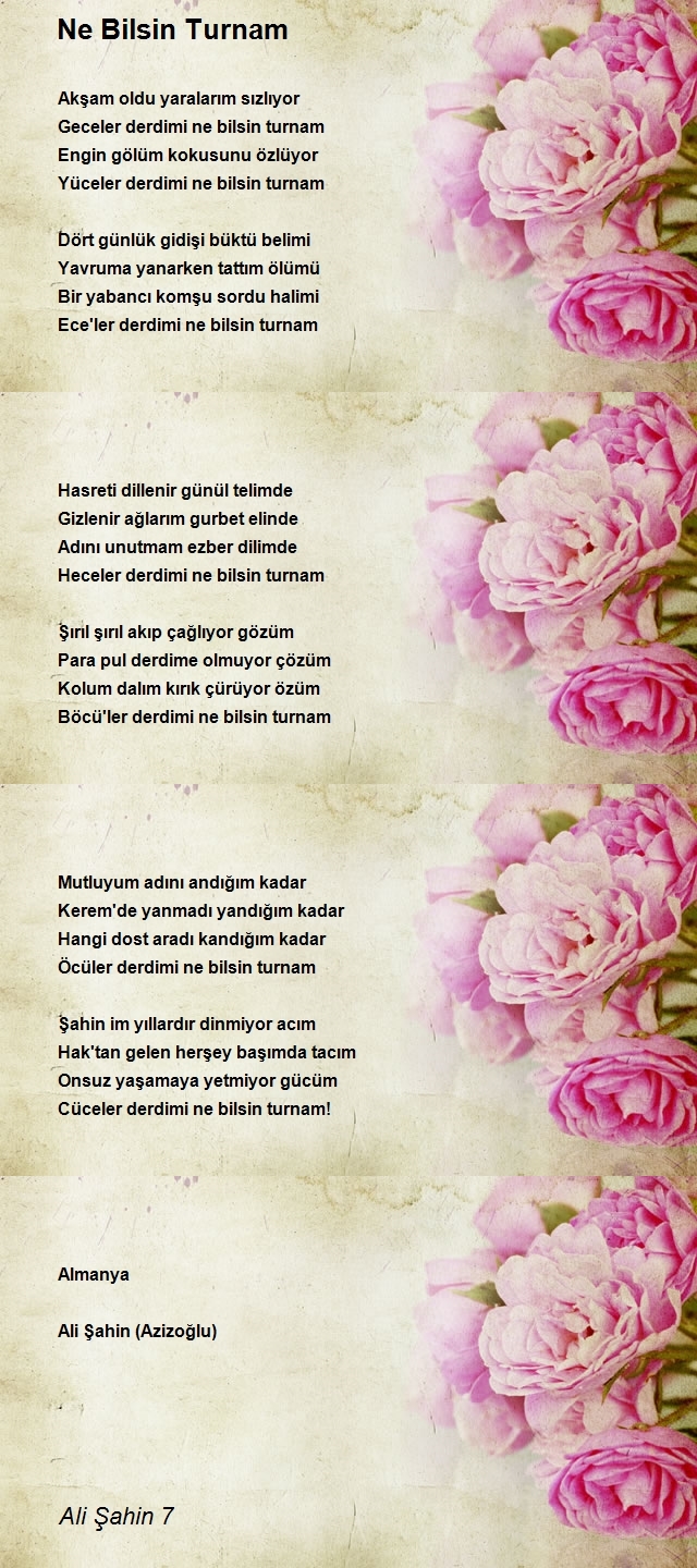 Ali Şahin 7