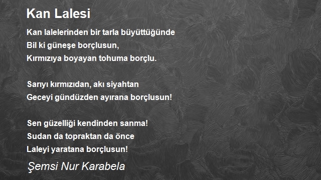 Şemsi Nur Karabela