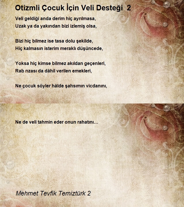 Mehmet Tevfik Temiztürk 2
