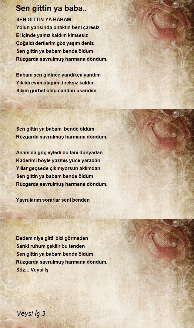 Veysi İş 3