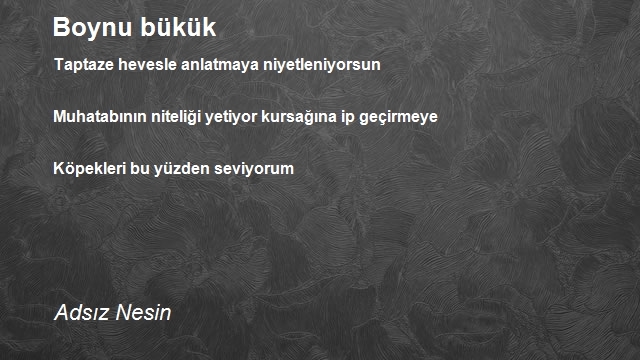 Adsız Nesin