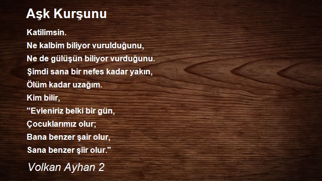 Volkan Ayhan 2