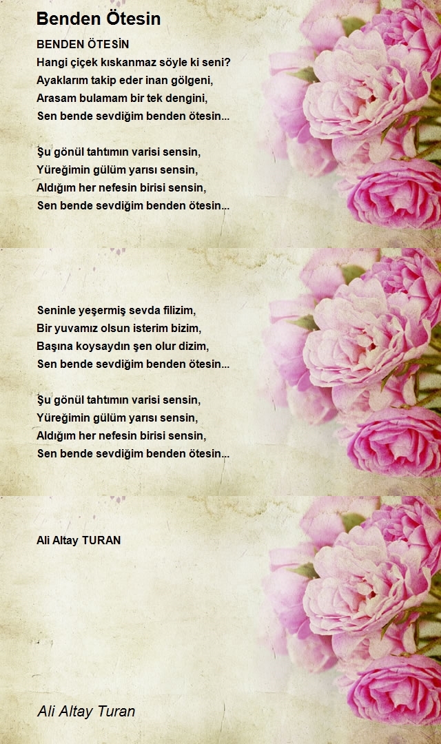 Ali Altay Turan