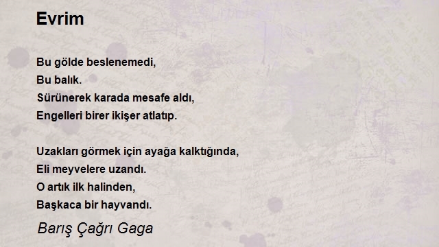 Barış Çağrı Gaga