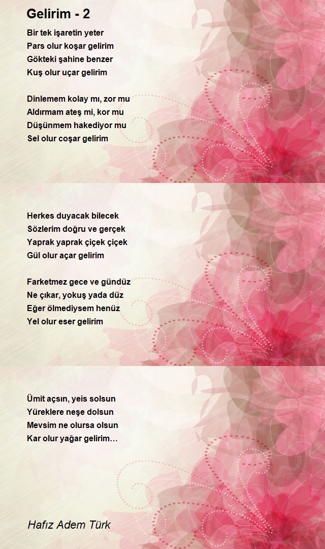Hafız Adem Enes Türk
