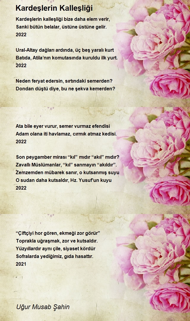Uğur Musab Şahin