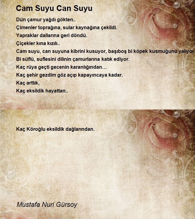 Mustafa Nuri Gürsoy