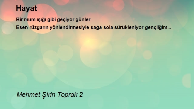 Mehmet Şirin Toprak 2