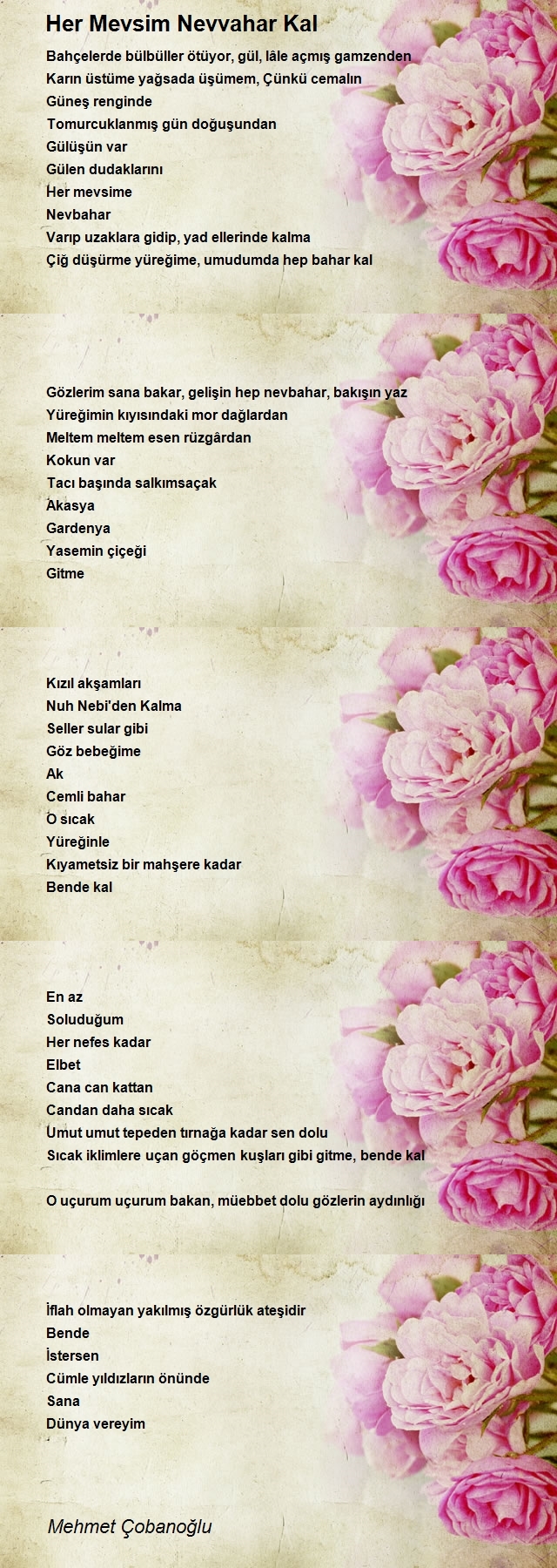 Mehmet Çobanoğlu