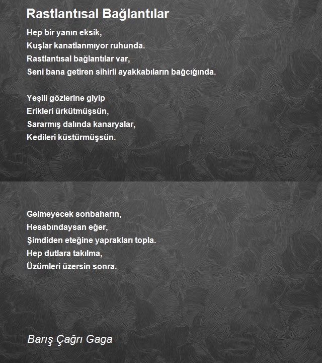 Barış Çağrı Gaga