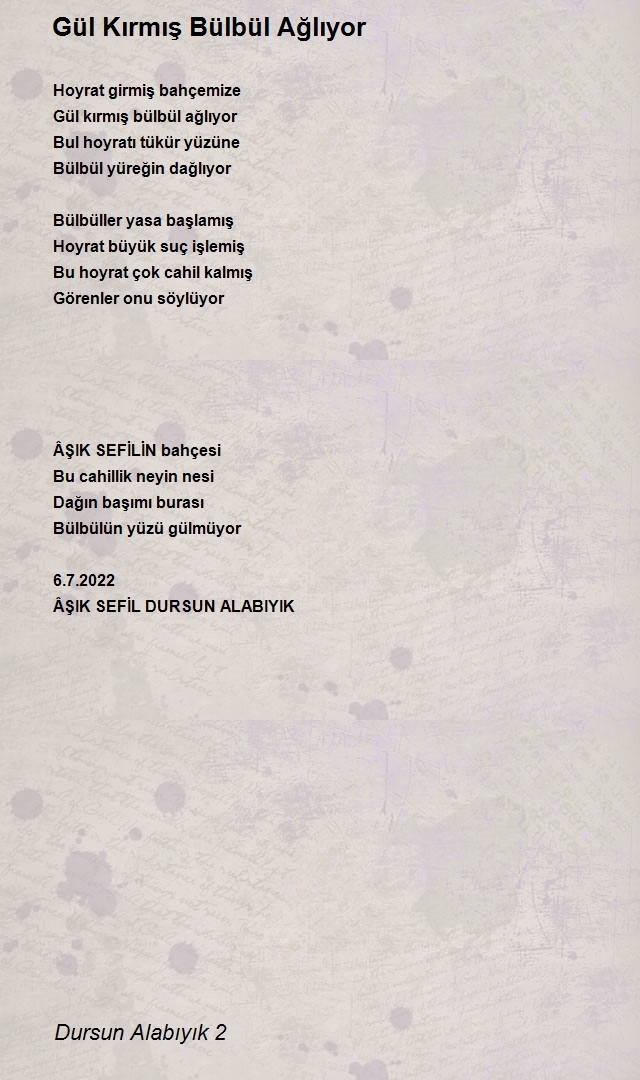 Dursun Alabıyık 2