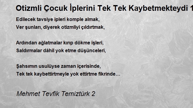 Mehmet Tevfik Temiztürk 2
