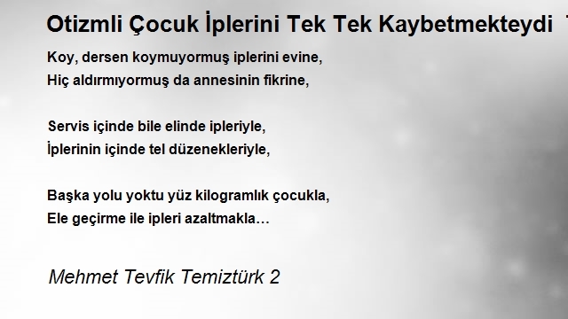 Mehmet Tevfik Temiztürk 2