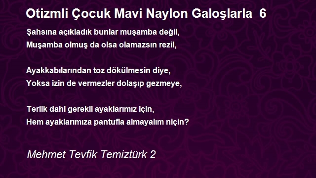 Mehmet Tevfik Temiztürk 2