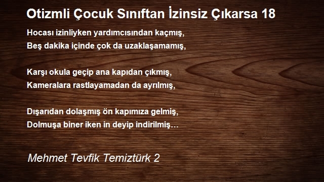 Mehmet Tevfik Temiztürk 2